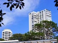 Tall White Apartment Buildings Royalty Free Stock Photo