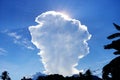 Tall white cloud above tropical forest. White fluffy cloud on blue sky background. Summer cloudscape Royalty Free Stock Photo