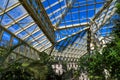 A tall white metal and glass greenhouse filled with lush green trees and plants and colorful flowers with blue sky Royalty Free Stock Photo