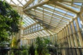 A tall white metal and glass greenhouse filled with lush green trees and plants and colorful flowers with blue sky