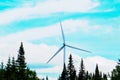 A tall wind turbine in the Forest
