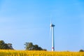 Tall Windmill at Field - Side View Royalty Free Stock Photo