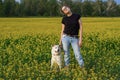 Tall young beautiful girl in black T-shirt and jeans and Japanese Akita Inu dog in a field among yellow wild flowers in summer. Royalty Free Stock Photo