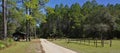 The picnic site at Lake Talquin State Park and Forest with tall glorious pine trees in Tallahass