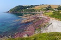 Talland Bay shingle beach Cornwall England UK Royalty Free Stock Photo