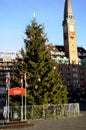 TALLEST CHRISTMAS TREE AT COPENHAGEN TOWN HALL