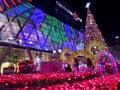 Tallest Christmas Tree in Thailand abd colourful light for New Yesr celebration 2016