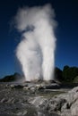 Geothermal geyser erupting in Rotorua, New Zealand Royalty Free Stock Photo