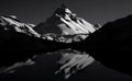 The tallest mountain in the world minimalist black and white with chrome highlights and organic contours.