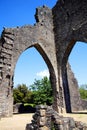 Talley Abbey, Carmarthenshire, Wales Royalty Free Stock Photo