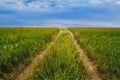 Tallgrass Prairie Pathway