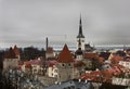 View of tallinn from one of its viewpoints, where you can see the city