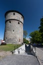 Tallinn Estonia Capital Eesti Royalty Free Stock Photo