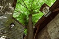 TALLINN, ESTONIA - Courtyard of Dominican Monastery Claustrum, The Old Town of Tallinn Royalty Free Stock Photo