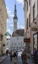 Tallinn, estonia, europe, the medieval town hall Royalty Free Stock Photo