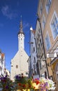 Tallinn, Estonia, street of the old city with bright houses and a town hall spike Royalty Free Stock Photo