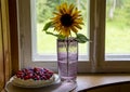 Tallinn, Harjumaa/ Estonia-29AUG2020: Collectible Tarbeklaas vase called Sammal with sunflower and summer cake on window.