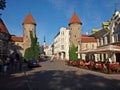 Tallinn old city gates Royalty Free Stock Photo