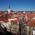 Tallinn Old Town on Toompea Hill, Estonia, panoramic view with traditional red tile roofs, medieval churches and walls. Royalty Free Stock Photo