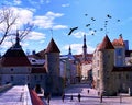 Tallinn old town tower red roof city street panorama people walking birds fly blue sky lifestyle spring visit Estonia travel