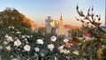 Tallinn panorama Freedom Square from the hill of the old town the roofs of churches and the freedom monument , rosebush at sunset