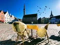 Tallinn panorama street cafe table ,yellow tablecloth,glass of wine ,chair woolen cover blue sky birds fly Old town panorama Royalty Free Stock Photo