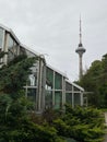 Tallinn TV tower, view from the botanical garden. Old soviet greenhouse. Modern architectural brutalism.