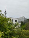Tallinn TV tower, view from the botanical garden. Old soviet greenhouse. Modern architectural brutalism.