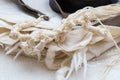 Tallit in close up - tzitzit Royalty Free Stock Photo