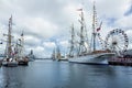 Tallships in Belfast Round the world racing