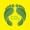 Green human footprints made of leaves with the word CO2, carbon footprint concept Royalty Free Stock Photo