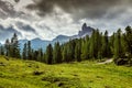 Taly, Dolomites - a wonderful landscape, meadow among pine