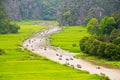 Tourists travelled along a stream inside ripen rice fields.