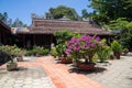 Tam Tom Pagoda in Marble Mountains, Vietnam Royalty Free Stock Photo