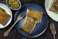 Tamal, traditional dish of the cuisine of Mexico, various stuffings