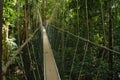 Taman Negara in Malaysia