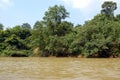 Taman Negara - River view