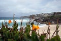 Tamarama beach view Royalty Free Stock Photo