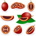 Tamarillo Royalty Free Stock Photo