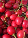 Tamarillo Royalty Free Stock Photo