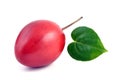 Tamarillo fruit Royalty Free Stock Photo