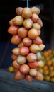 Tamarillo or terung belanda hanging at stall in Medan Indonesia