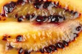 Tamarillo (tree tomato) - close up Royalty Free Stock Photo