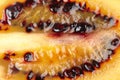 Tamarillo (tree tomato) - close up