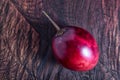 Tamarillo tree tomato closeup