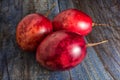 Tamarillo tree tomato closeup