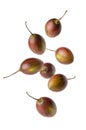 Tamarillo or tree tomatoes falling on white