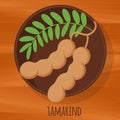 Tamarind flat design vector icon Royalty Free Stock Photo