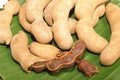 Tamarind fruit