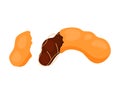 Tamarind Fruit Half Opened Icon Animated Graphic Clip art Illustration
